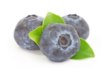 Bilberry. Beyaz arka plan üzerinde izole yaban mersini.