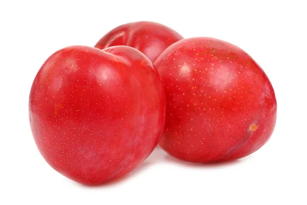 Ameixas vermelhas — Fotografia de Stock
