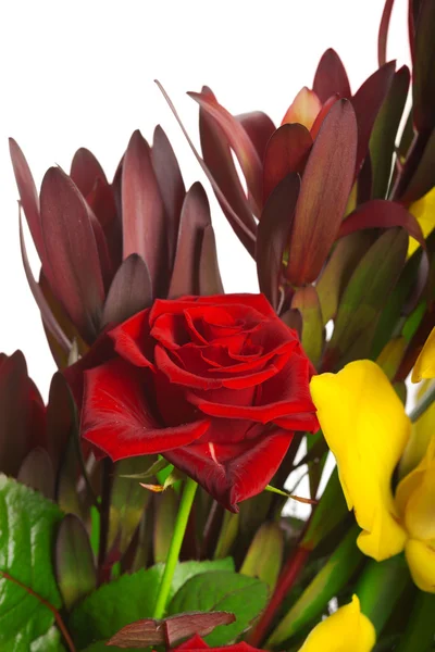 Composición de orquídeas, rosas y leucopermas — Foto de Stock