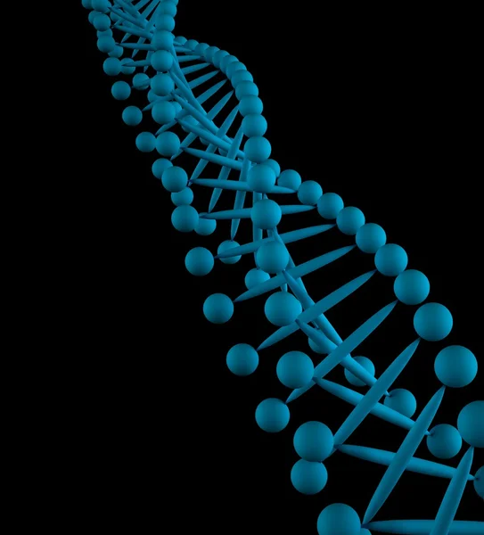 The model of DNA — Stock Photo, Image