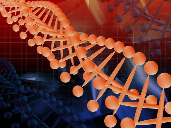 The model of DNA — Stock Photo, Image