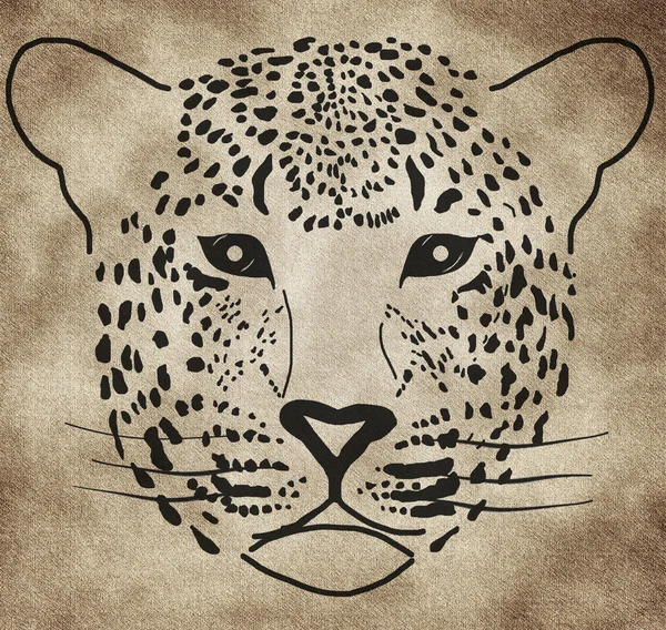 Ilustrace leopard — Stock fotografie