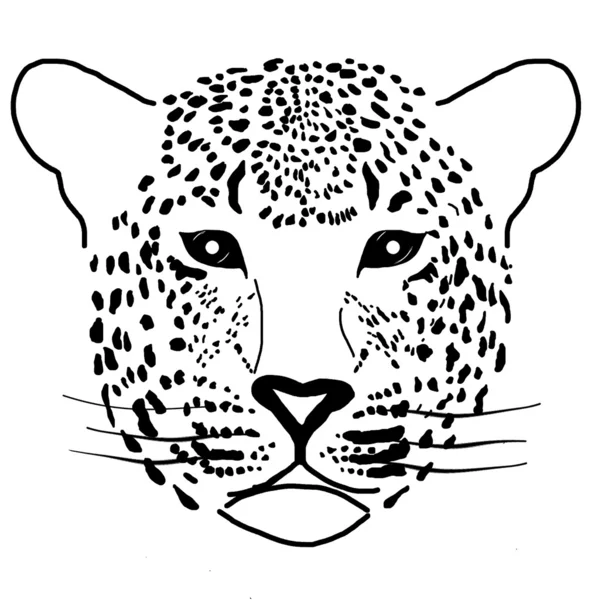 Ilustração de um leopardo — Fotografia de Stock