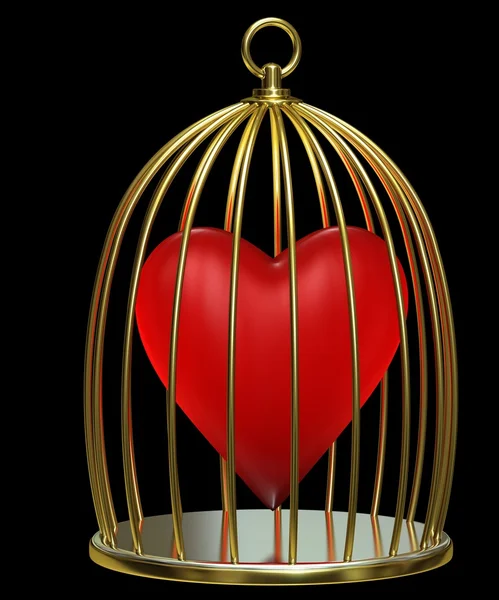 Coração em uma jaula — Fotografia de Stock