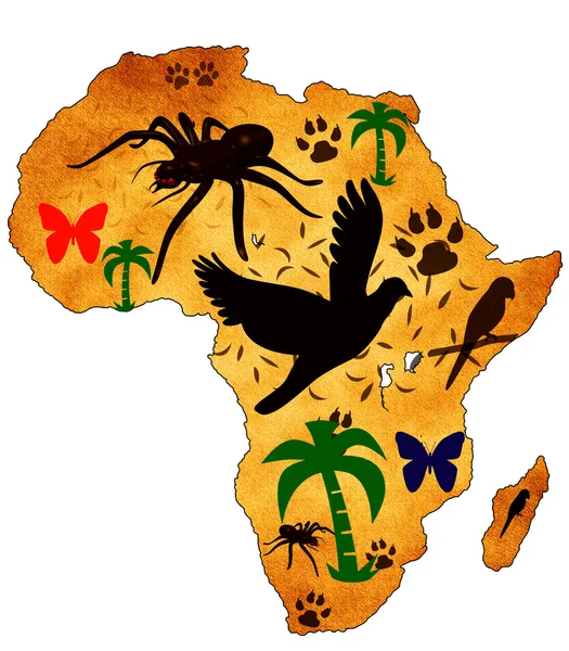 Vahşi Afrika — Stok fotoğraf