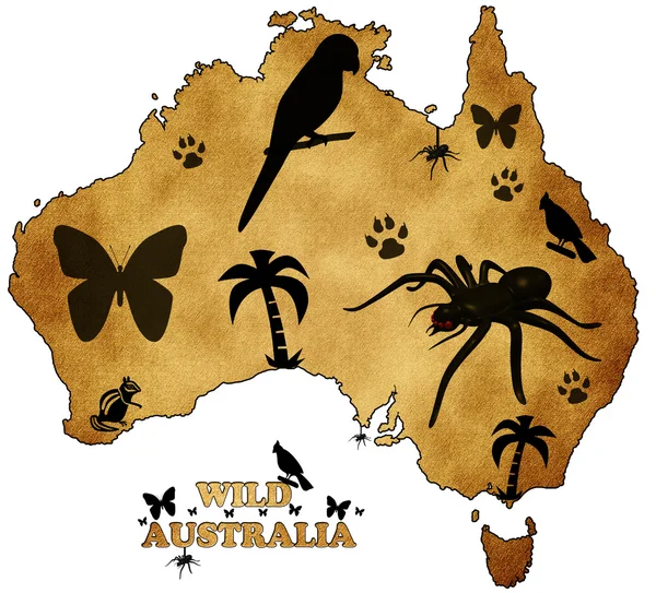 Wild Australië — Stockfoto