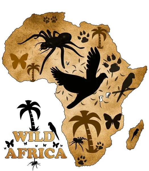 वन्य आफ्रिका — स्टॉक फोटो, इमेज