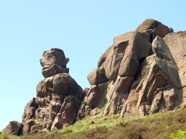 böcekler, peak district Milli Parkı