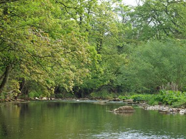 River Manifold, Ilam, Peak District national Park clipart