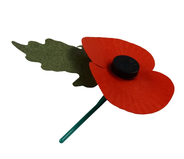 Stock image A Poppy