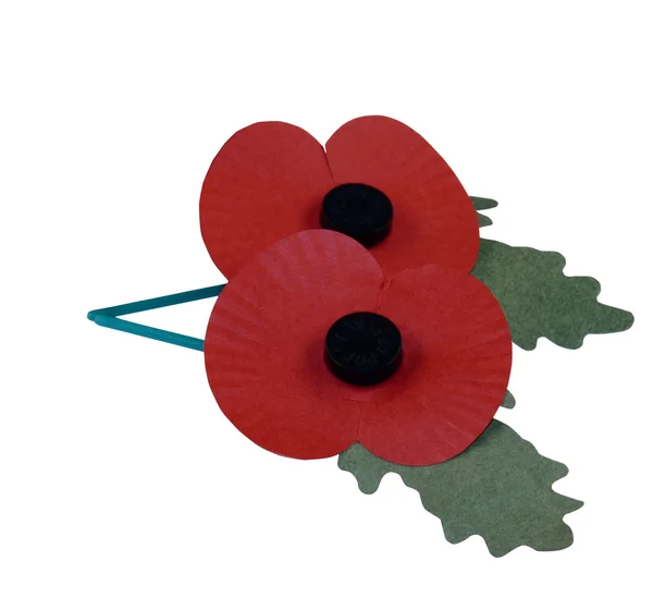 stock image Two Remebrance Day Poppies