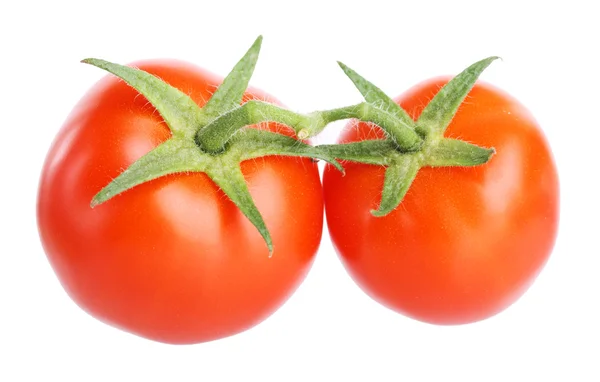 Red tomato with a branch. Isolated on white background — Stock Photo, Image