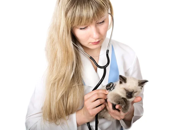 Ветеринарный врач — стоковое фото