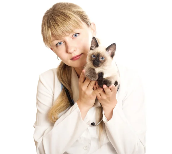 Ветеринар держит котенка — стоковое фото