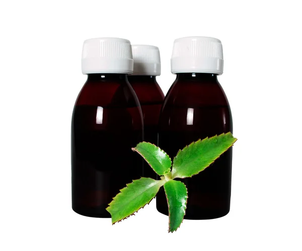 Μικρά μπουκάλια και φαρμακευτικό φυτό — Φωτογραφία Αρχείου