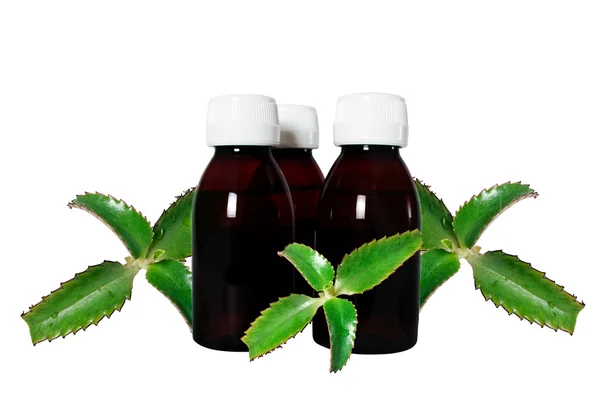 Flessen en medicinale plant — Stockfoto