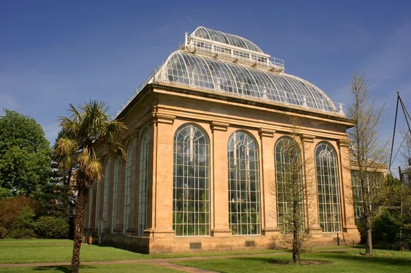 Palmiarnia, Królewski Ogród botaniczny, Edynburg. Obrazy Stockowe bez tantiem