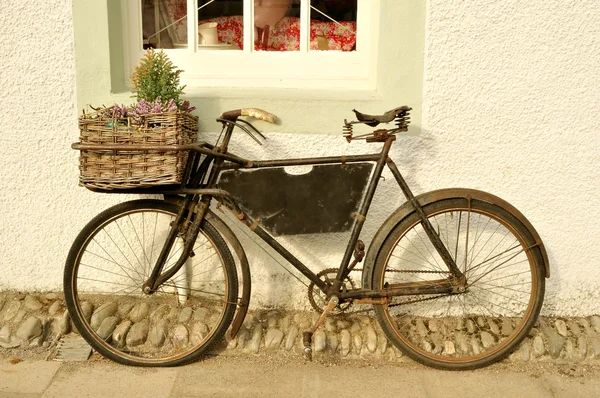 Старый модный велосипед доставки — стоковое фото