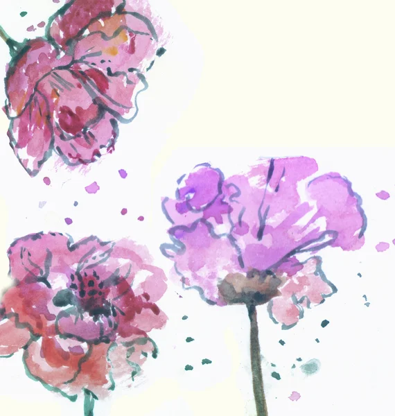 Lila bloemen — Stockfoto
