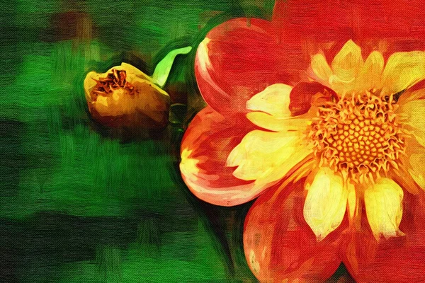 Çizim çiçek — Stok fotoğraf