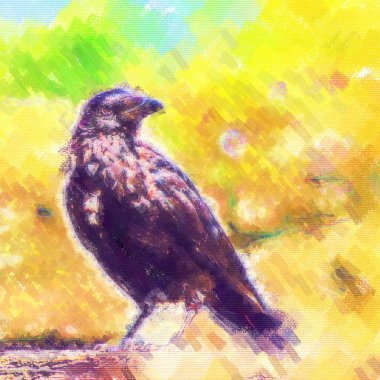 Crow over bright background clipart