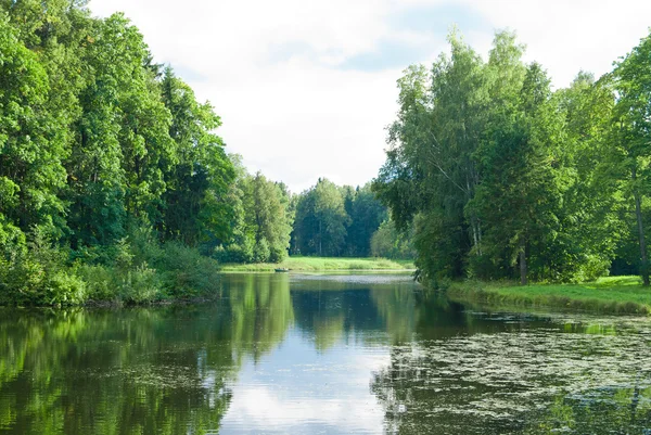 Paesaggio estivo — Foto Stock