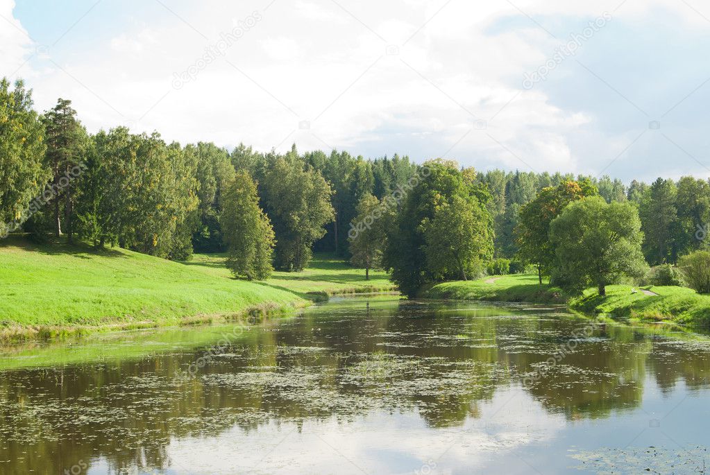 Summer landscape with green grass, forrest and river