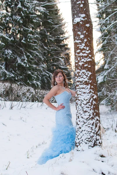 Schoonheid meisje in blauwe jurk in winter forest — Stockfoto