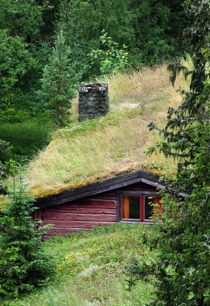 Σουηδικά-εξοχικό σπίτι — Φωτογραφία Αρχείου