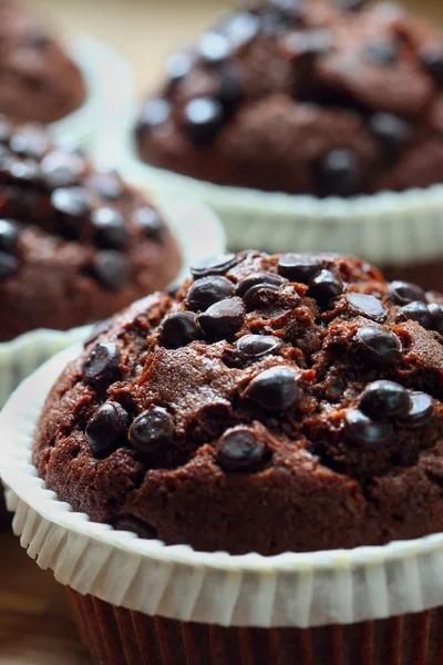 Csokis muffin — Stock Fotó