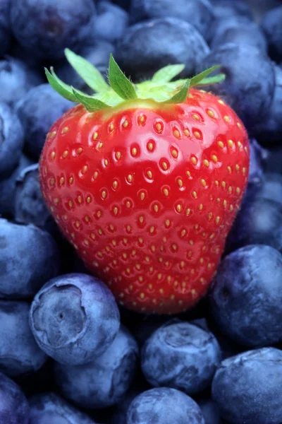 Erdbeeren und Blaubeeren — Stockfoto