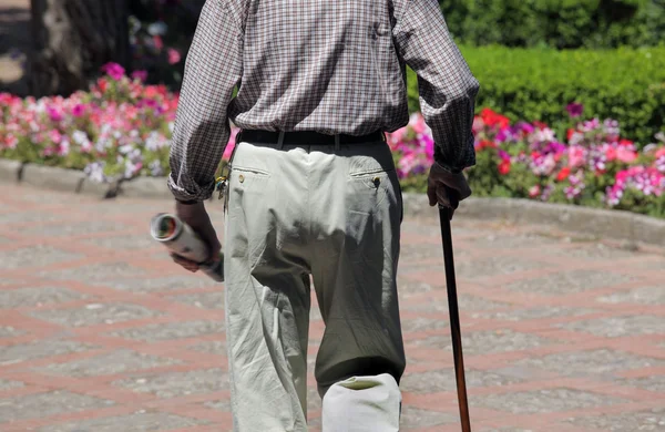 Portrét starší muž, procházky v parku — Stock fotografie