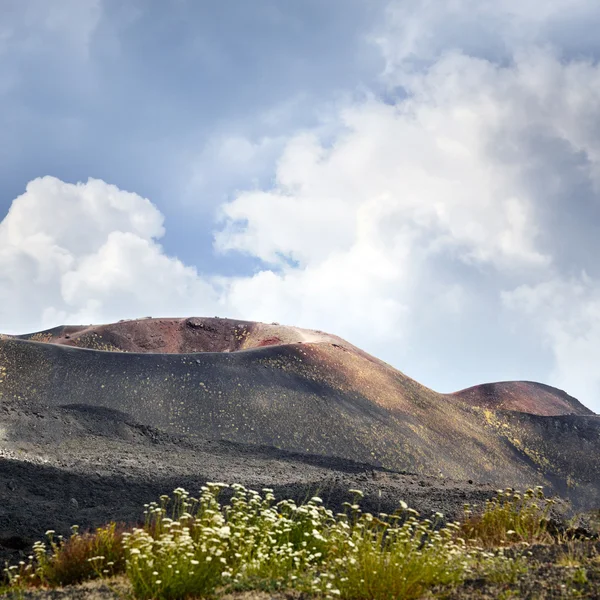 Etna paesaggio — Foto Stock