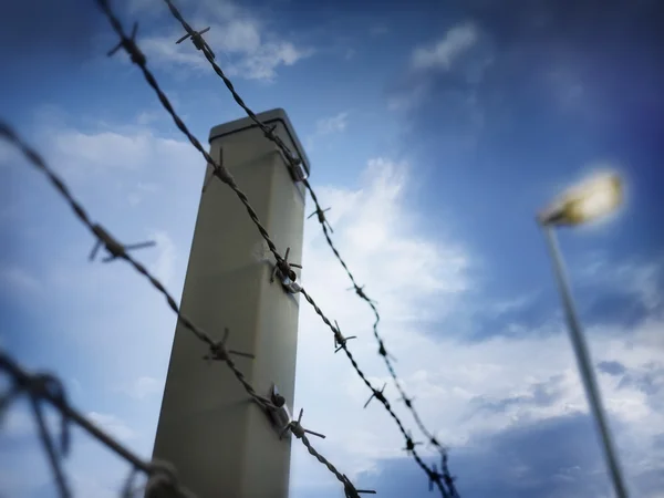 Barbed wire against evening sky — Stock Photo, Image