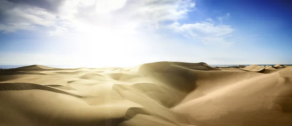 夕日にゴールドの砂漠. — ストック写真