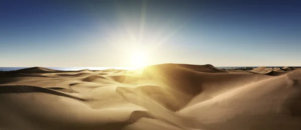 Gouden woestijn in de zonsondergang. — Stockfoto