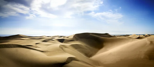 일몰으로 골드 사막. — 스톡 사진
