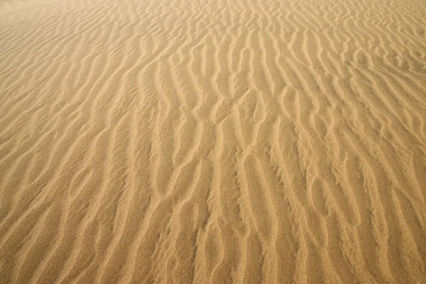 Золотая пустыня. Песчаная текстура . — стоковое фото