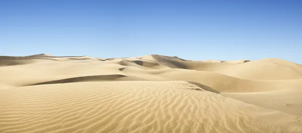 Золотая пустыня . — стоковое фото