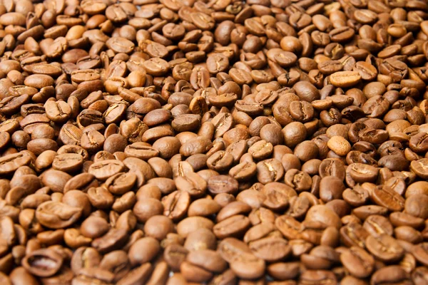 Farbige Kaffeetextur. Kaffeebohnen Nahaufnahme — Stockfoto