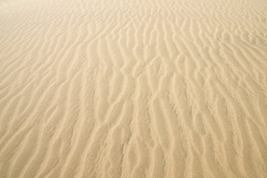 Gold desert. Sand texture. clipart