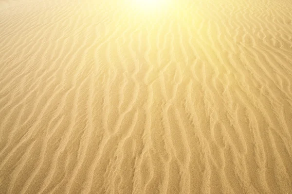 Goldwüste. Sandstruktur. Sonnenuntergang — Stockfoto