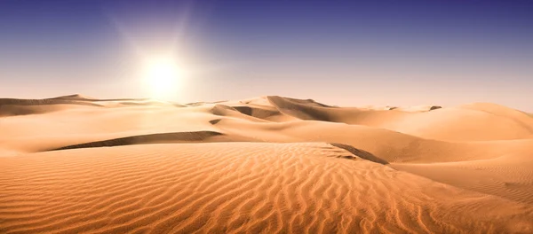 골드 사막. — 스톡 사진