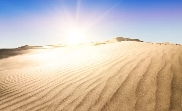 골드 사막. — 스톡 사진