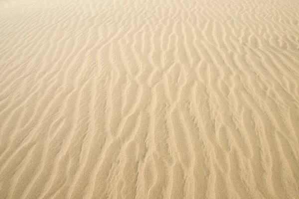 Arany sivatagban. homok textúráját. — Stock Fotó
