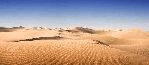 Золотая пустыня . — стоковое фото