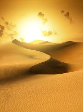 Gold desert. Sunset. clipart