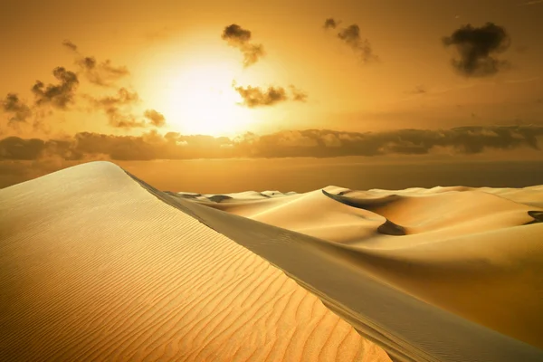 Altın çöl. Sunset beach. — Stok fotoğraf