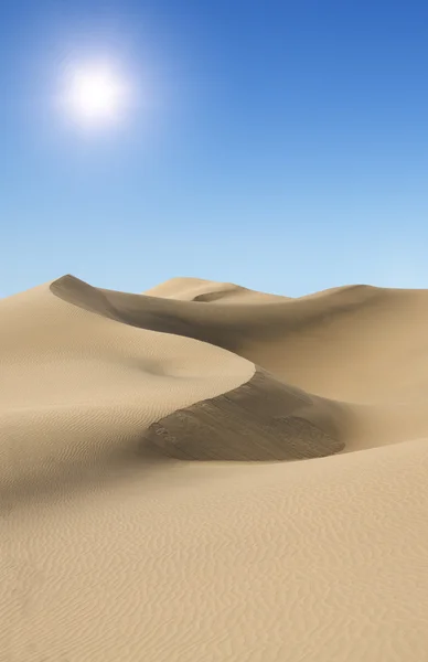 Złoto pustyni. słoneczny dzień. — Zdjęcie stockowe