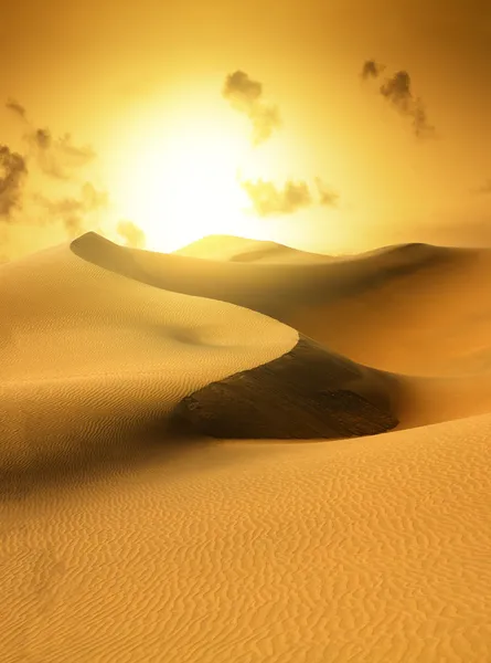 Золото пустелі. Захід сонця . — стокове фото